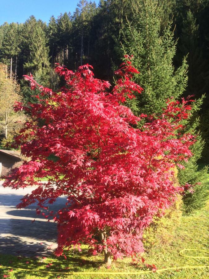 Gasthof Waldrast Zell am Ziller Esterno foto